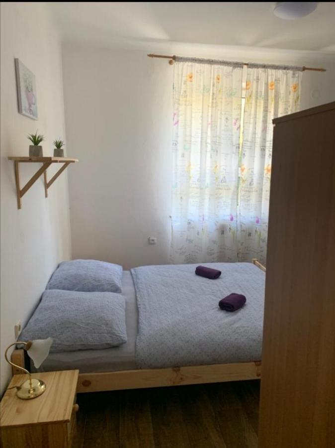 Penzion Hajenka Petrovice  Buitenkant foto