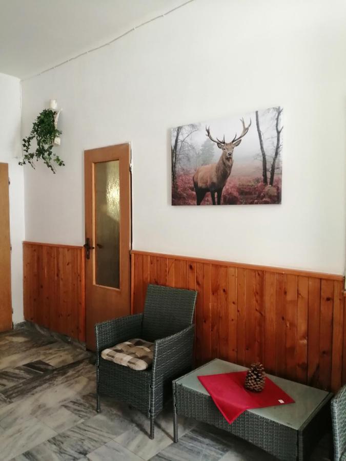 Penzion Hajenka Petrovice  Buitenkant foto